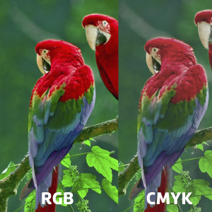 RGB x CMYK  MF Estudio Gráfico